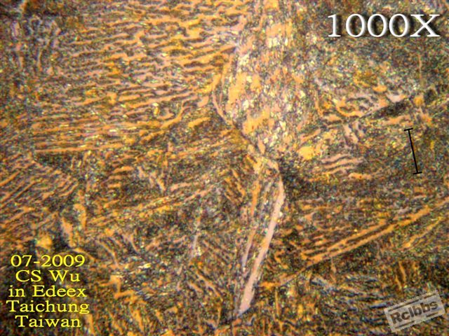P7282353z.jpg