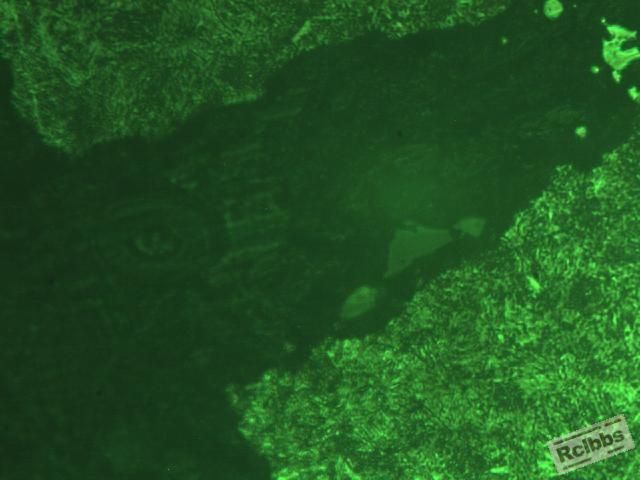 裂纹起端400.JPG