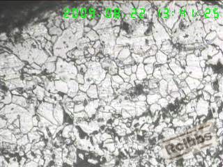 100X横剖面(平行于内孔轴线)表层脱碳约0.80MM.jpg
