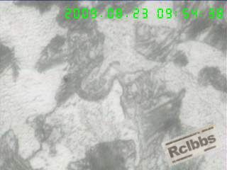 1000X 横剖面心部组织,粗片及细片状P+半网状F+粒状B,.jpg