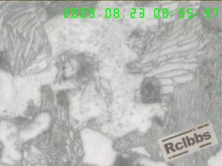 1000X   横剖面心部组织,粗片及细片状P+半网状F+粒状B,.jpg