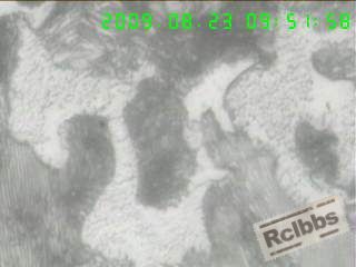 1000X横剖面心部组织,粗片及细片状P+半网状F+粒状B,.jpg