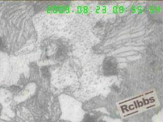 1000  X横剖面心部组织,粗片及细片状P+半网状F+粒状B,.jpg