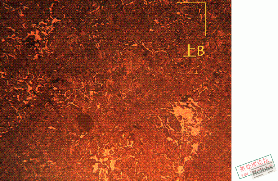 20080926_1295eaf427b574ba2153p82mOXO4etHH.gif