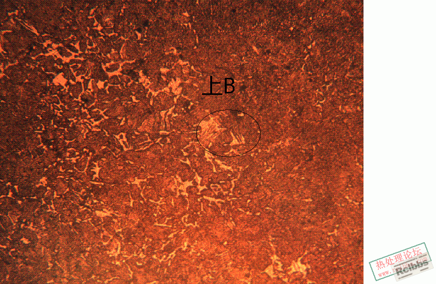20080926_cac172fa27a6d9304952khHYDa5ZEEMi.gif