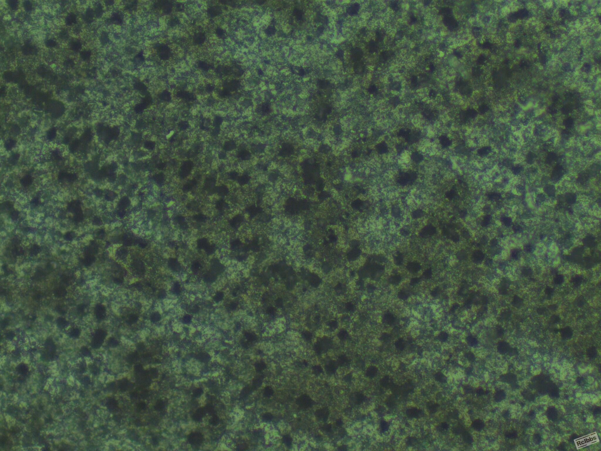 1-500x-1.jpg