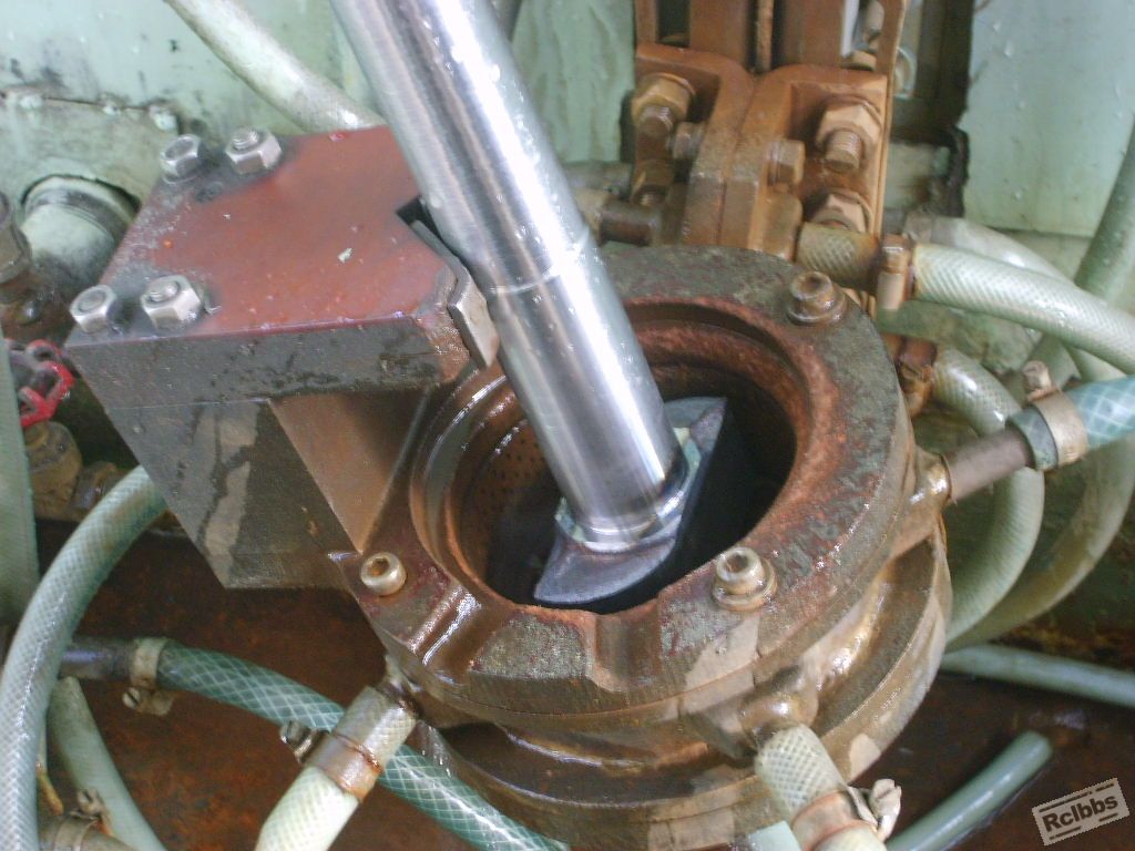S6000079.JPG