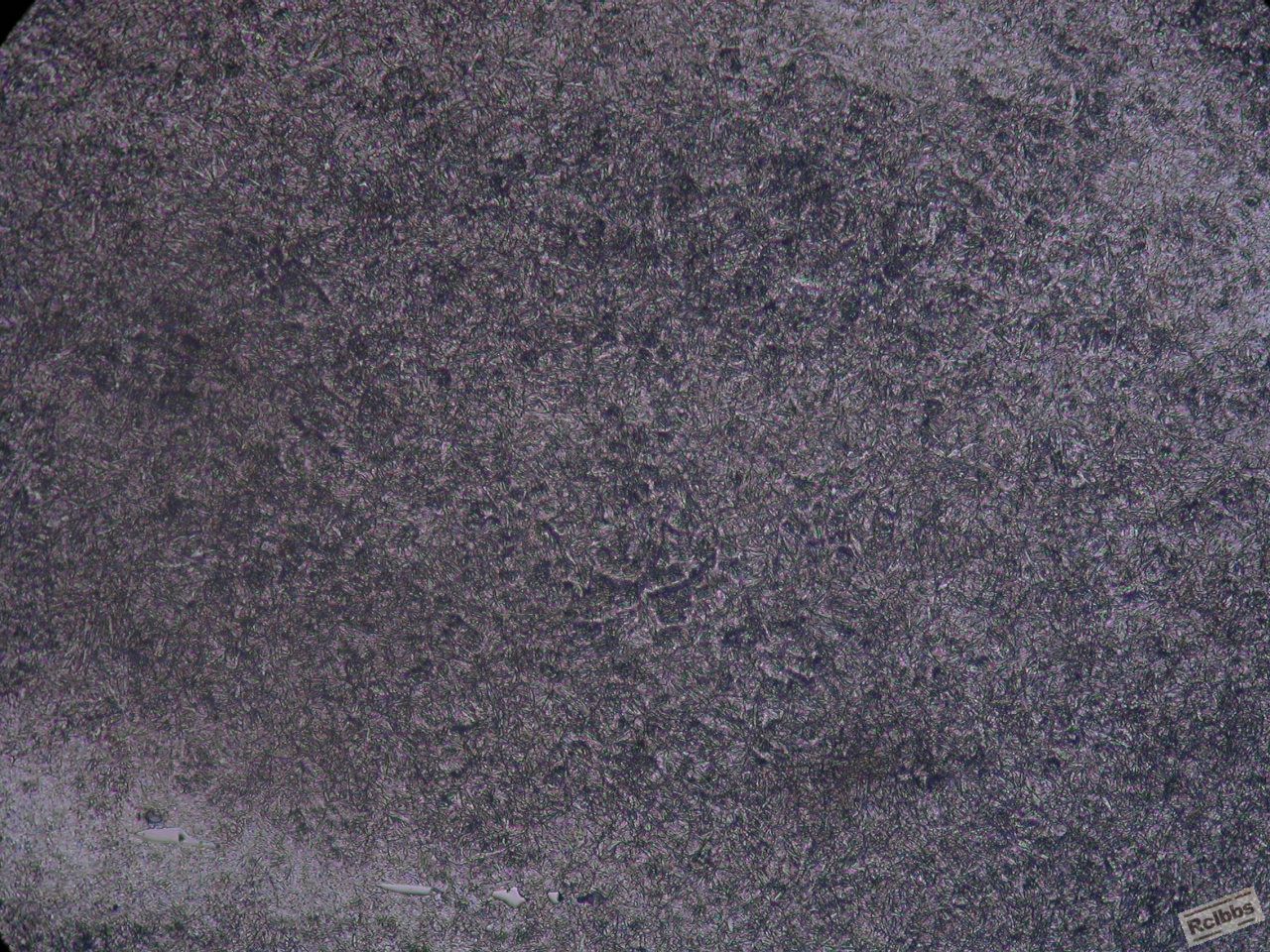 200X6.JPG