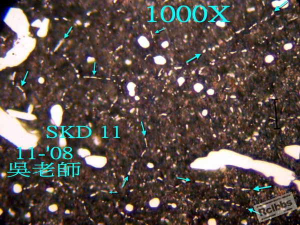 PB019150.jpg