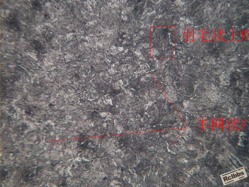 20090619_216604a745cb829967c3bGFBzipeNnuA.jpg