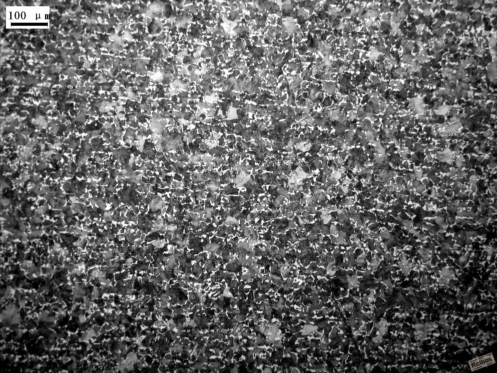 55#正火100X.JPG
