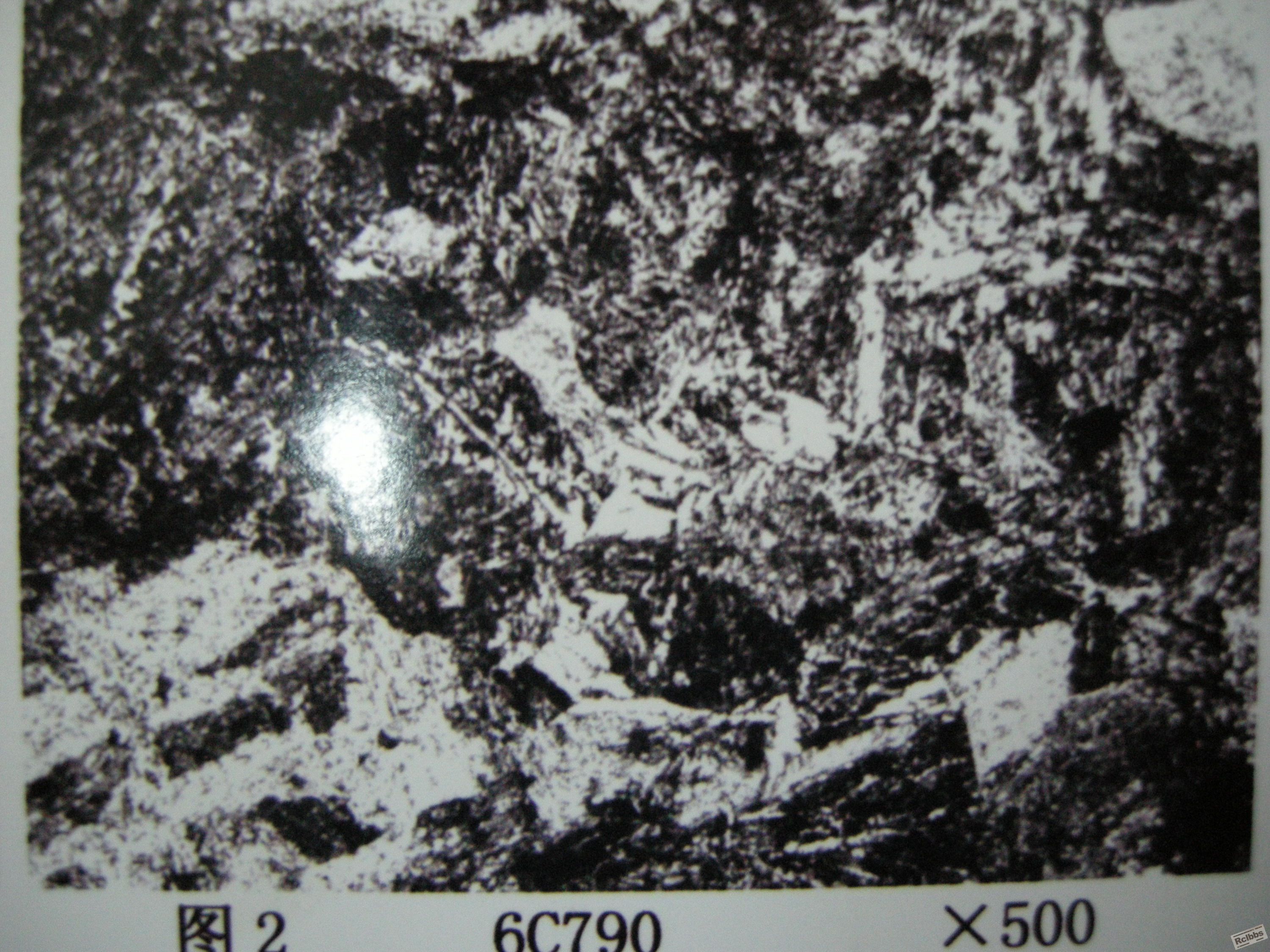 50CrMo调质组织 002.jpg