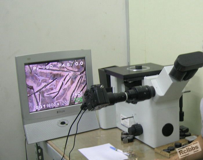 GX 51.jpg
