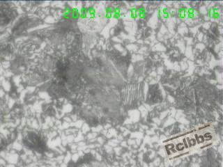 400X横截面心部组织,块状F+P           (另一部位).jpg