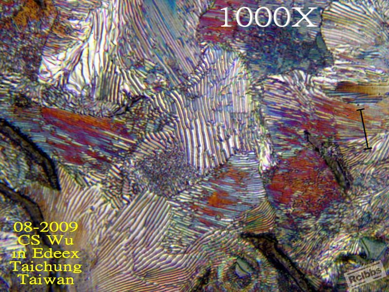 P8063131_E.jpg