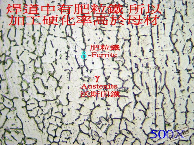 P1017276.jpg