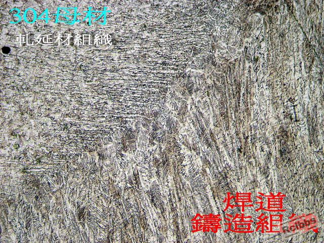 P1017233.jpg