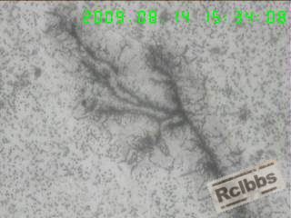 400X横截面表层折叠裂尾部，裂纹两侧脱碳，并充满氧化物.jpg