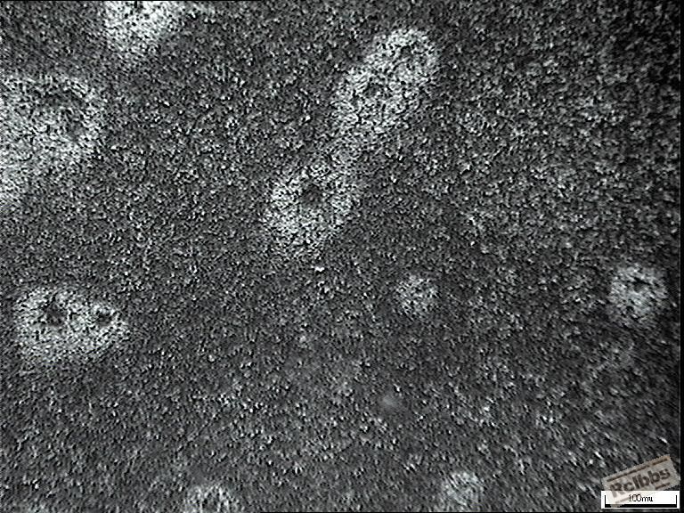 400x
