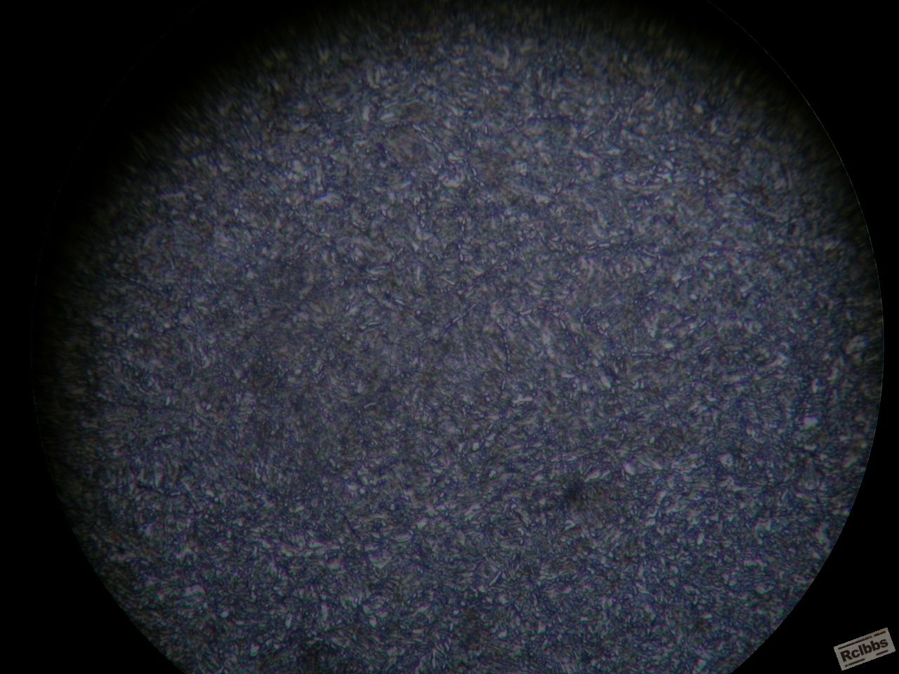 DSCN3842.JPG