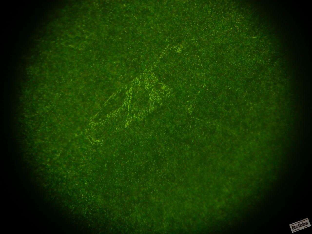 DSCN0536.JPG