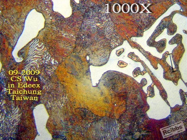 P9084646.jpg