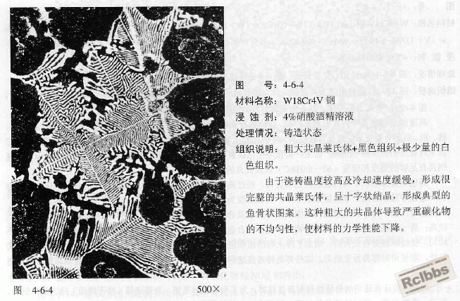 高速钢的鱼骨状碳化物.gif
