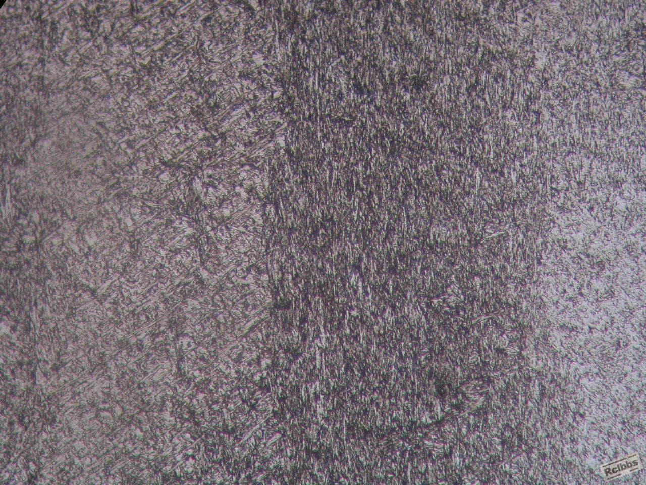 500X 6.JPG