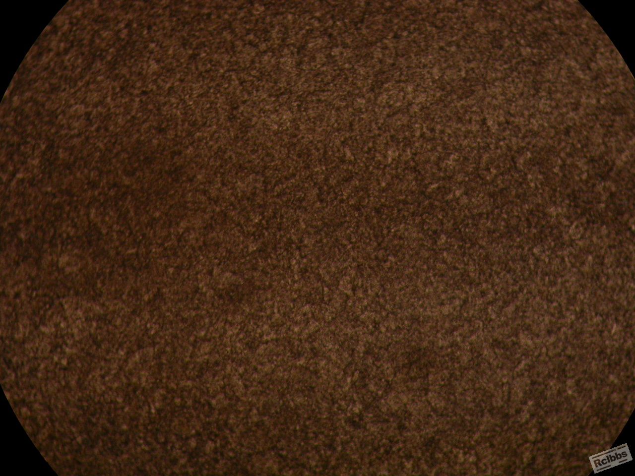 DSCN5196.JPG
