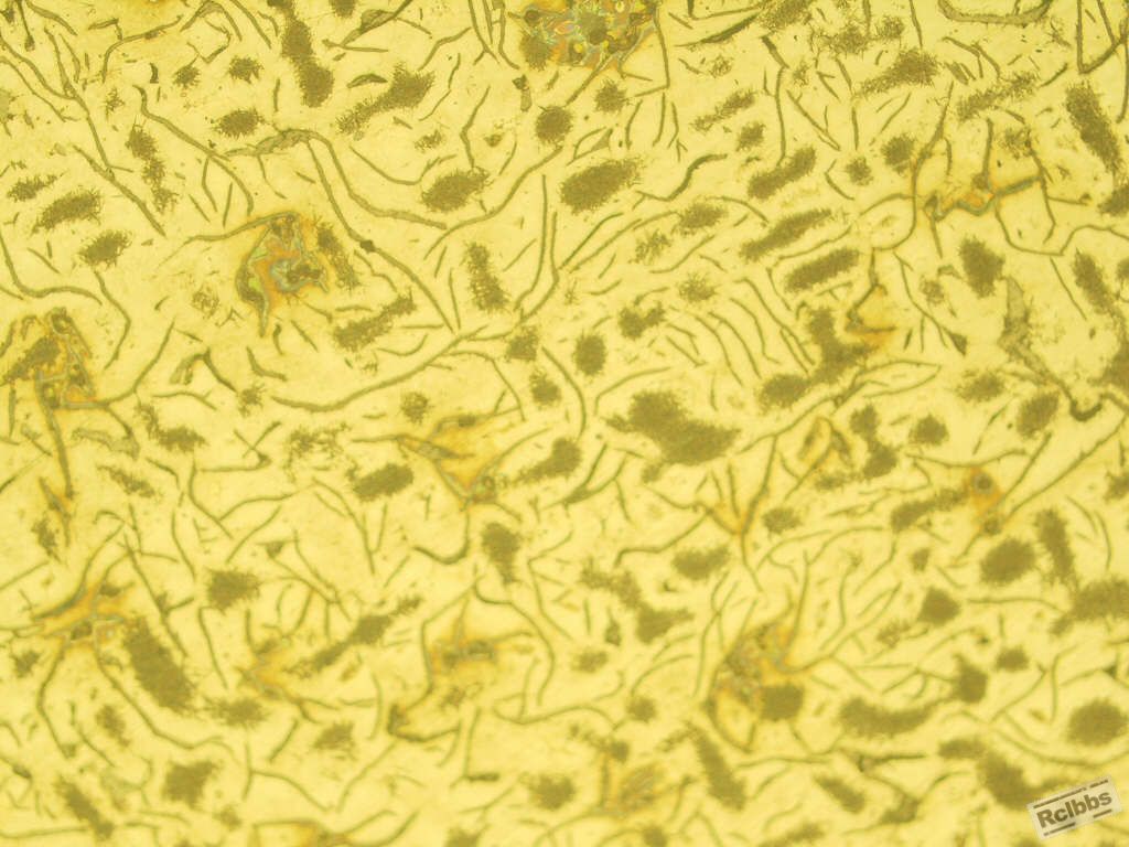腐蚀后，100X