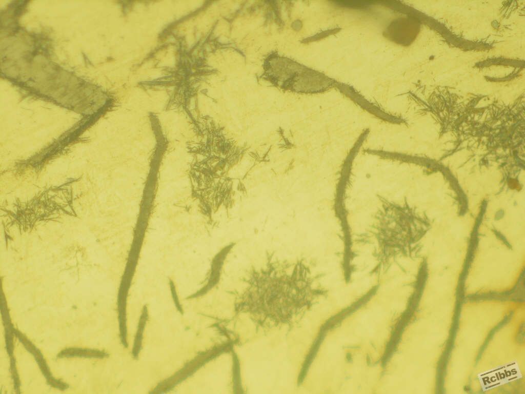 腐蚀后，500X