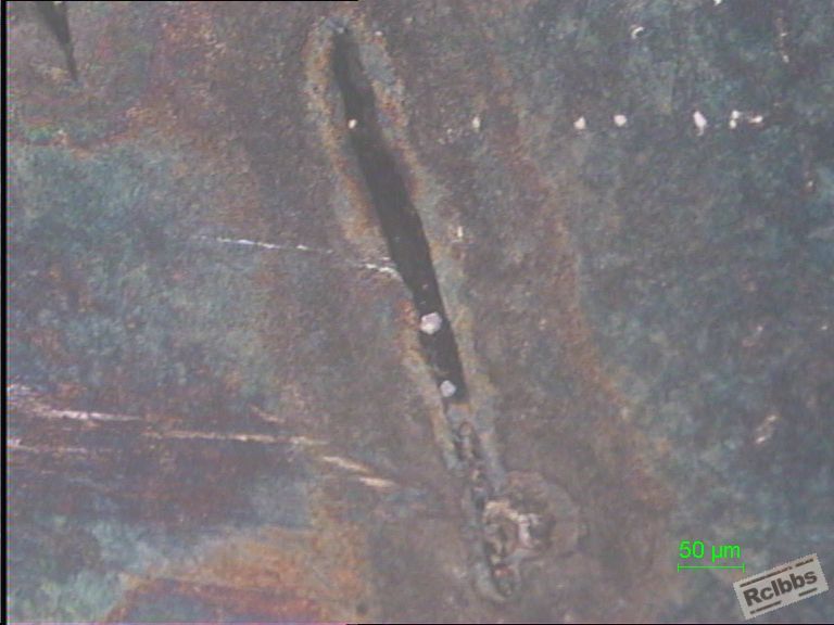 200X-3.JPG
