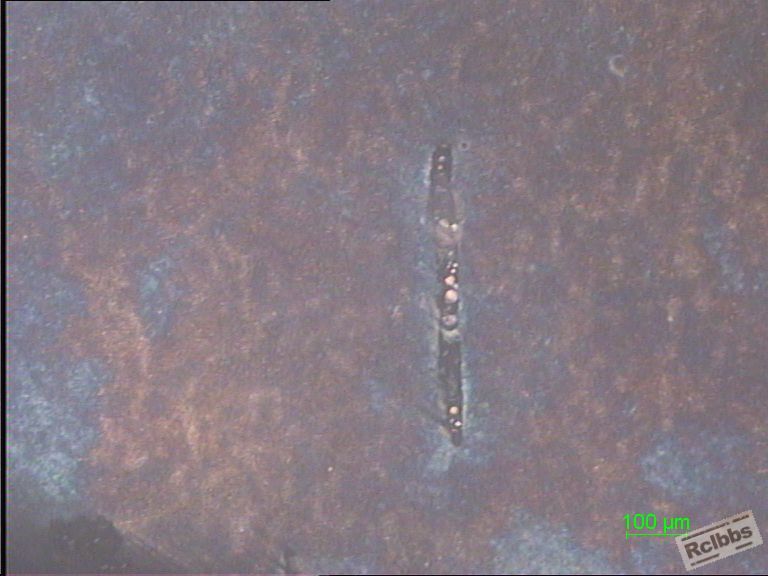 100X-4.JPG
