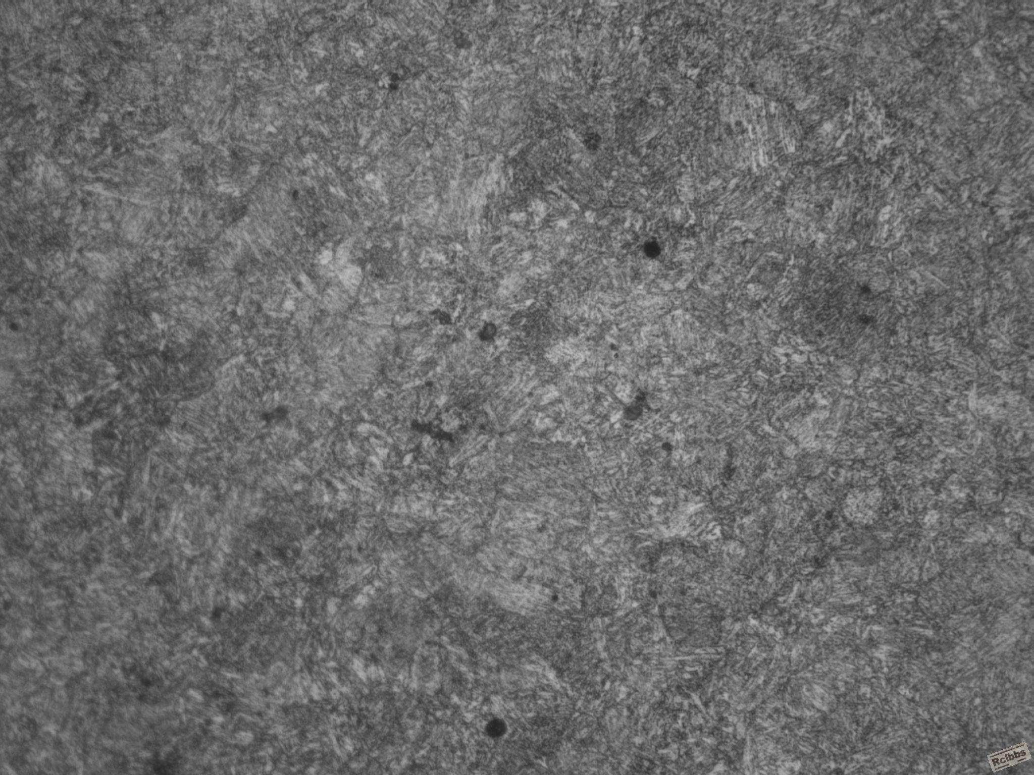 C9090666-1热处理组织(黑白)-500X.JPG