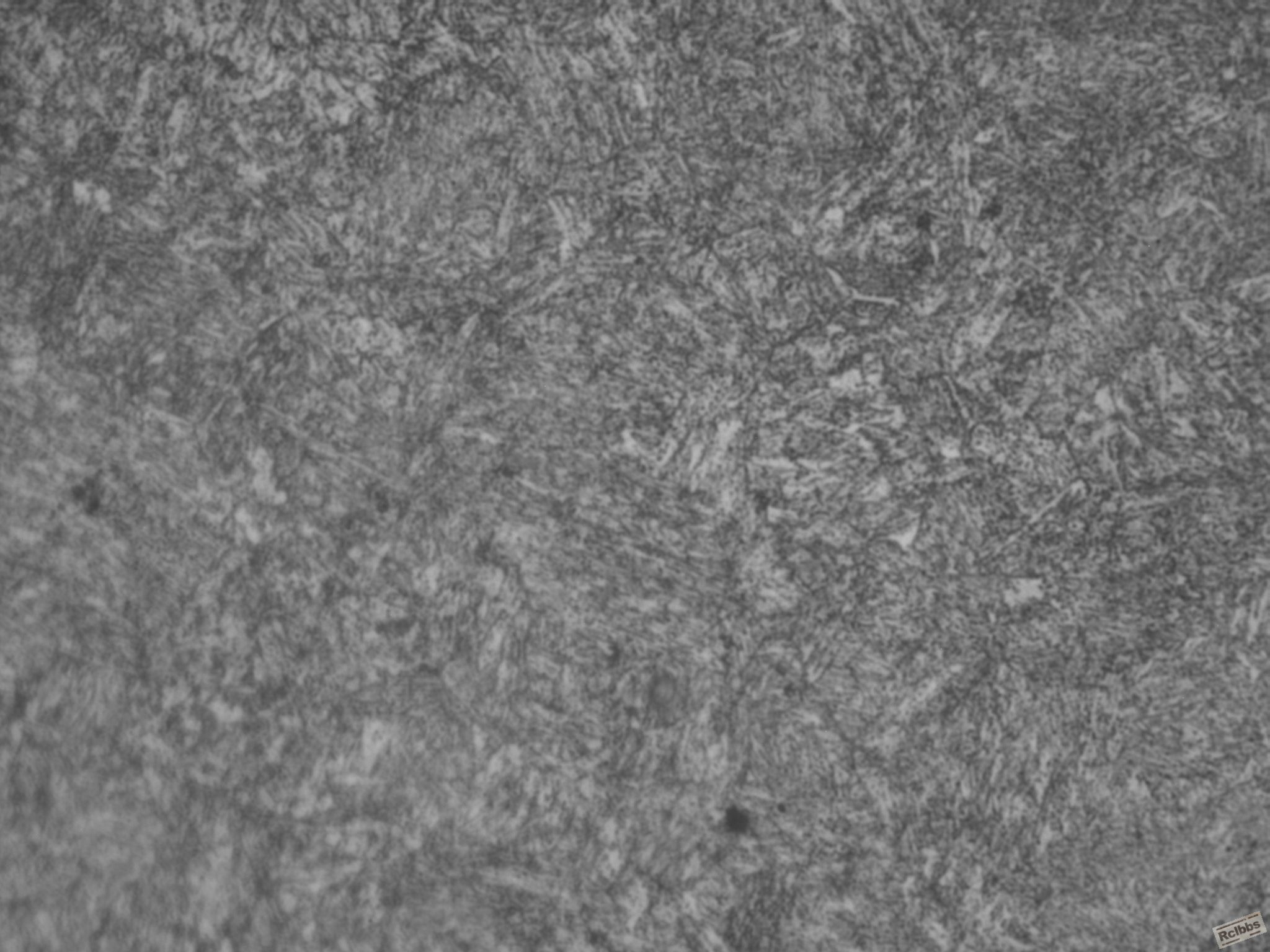 C9090666-1热处理组织(黑白)-1000X.JPG