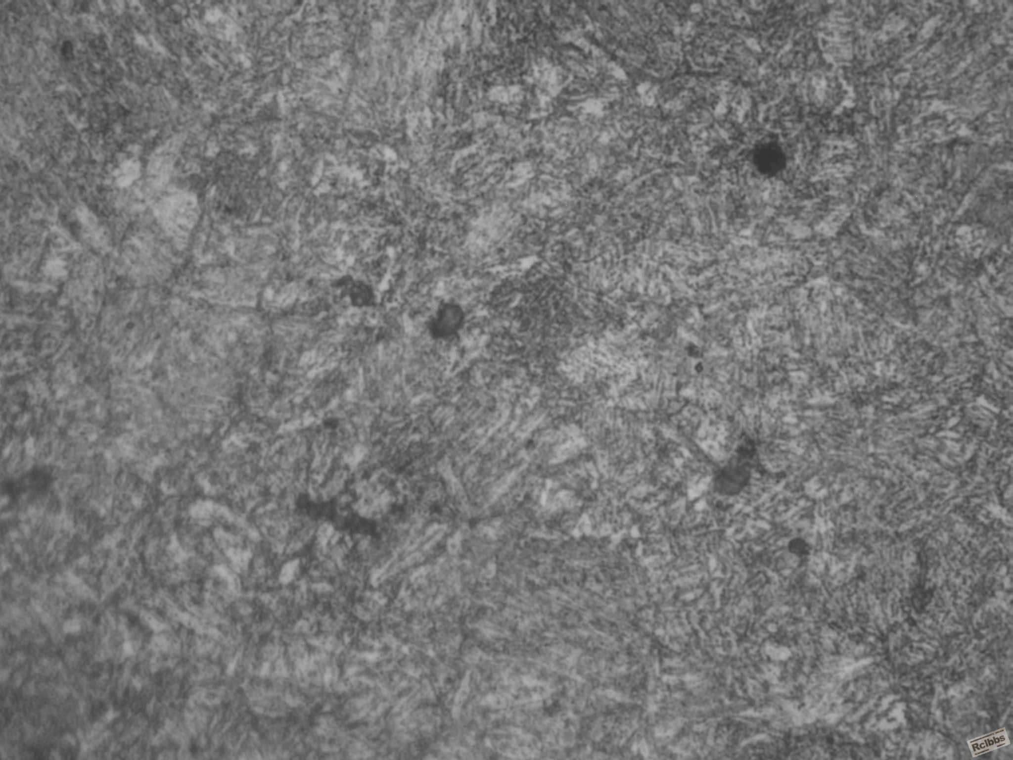 C9090666-1热处理组织(黑白)-1000X2.JPG