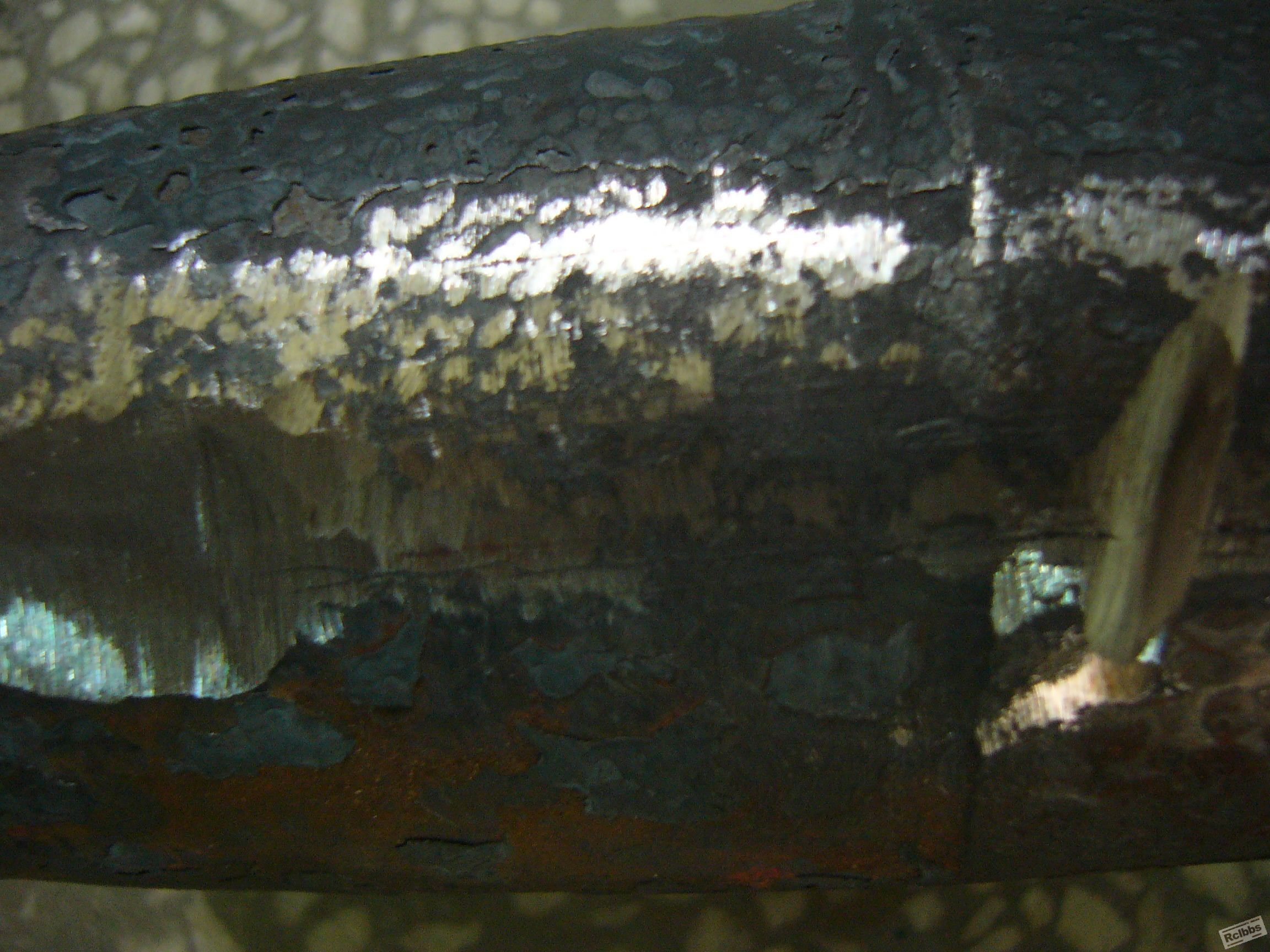 P1050099.JPG