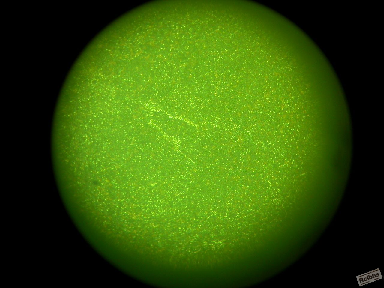 DSCN0543.JPG