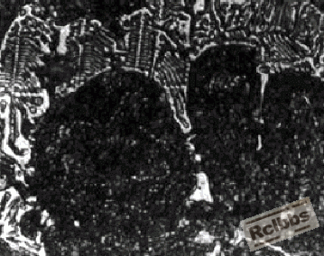 图7.gif