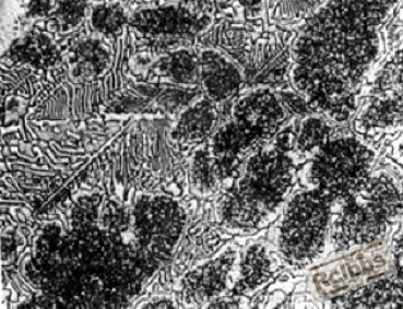 图4.gif