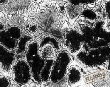 图8.gif