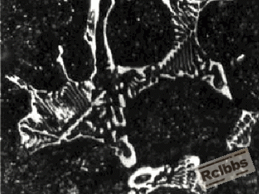 图9.gif