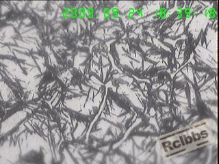1000X横截面表层组织,残留A+针状M+网状碳化物,.jpg