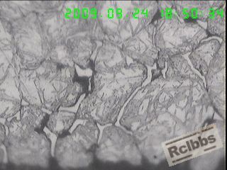 1000X横截面表层组织,残留A+针状M+网状碳化物,沿晶界裂纹,组织严重过热,(2区).jpg