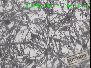 1000X横截面表层组织,残留A+针状M.jpg