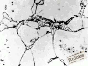 图12.gif