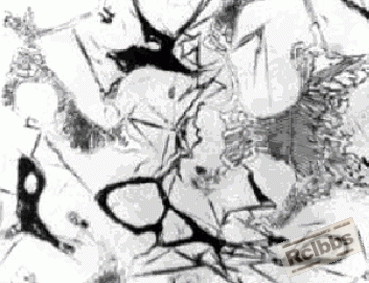 图14.gif