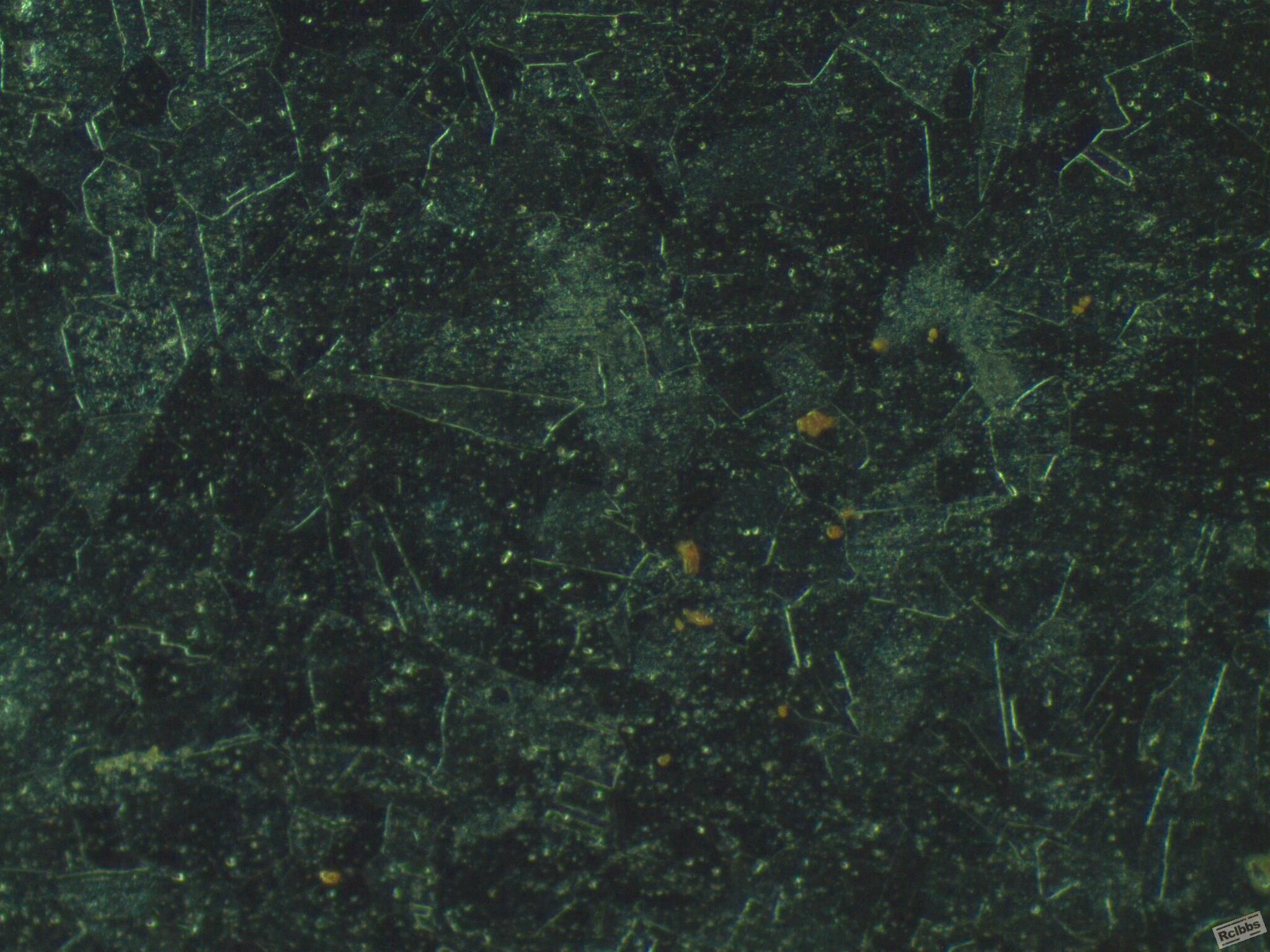 200x-2暗场.jpg
