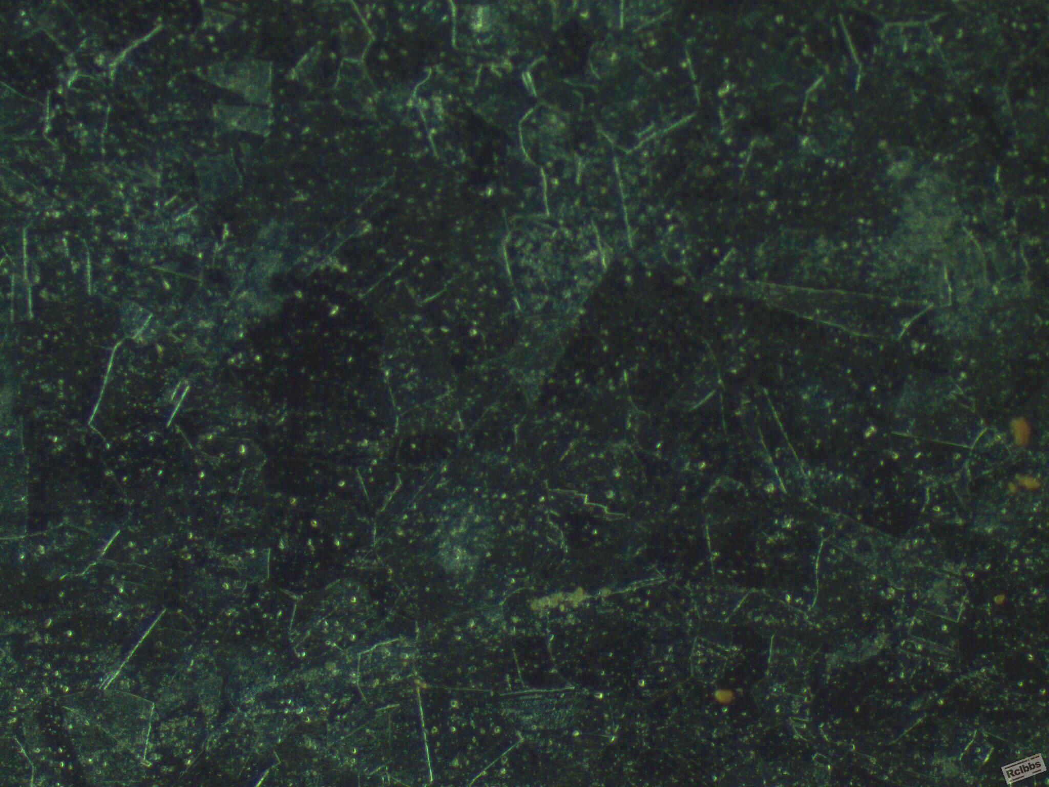 200x-3暗场.jpg