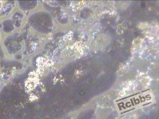 螺栓-45-100X.09.10.07-4.jpg
